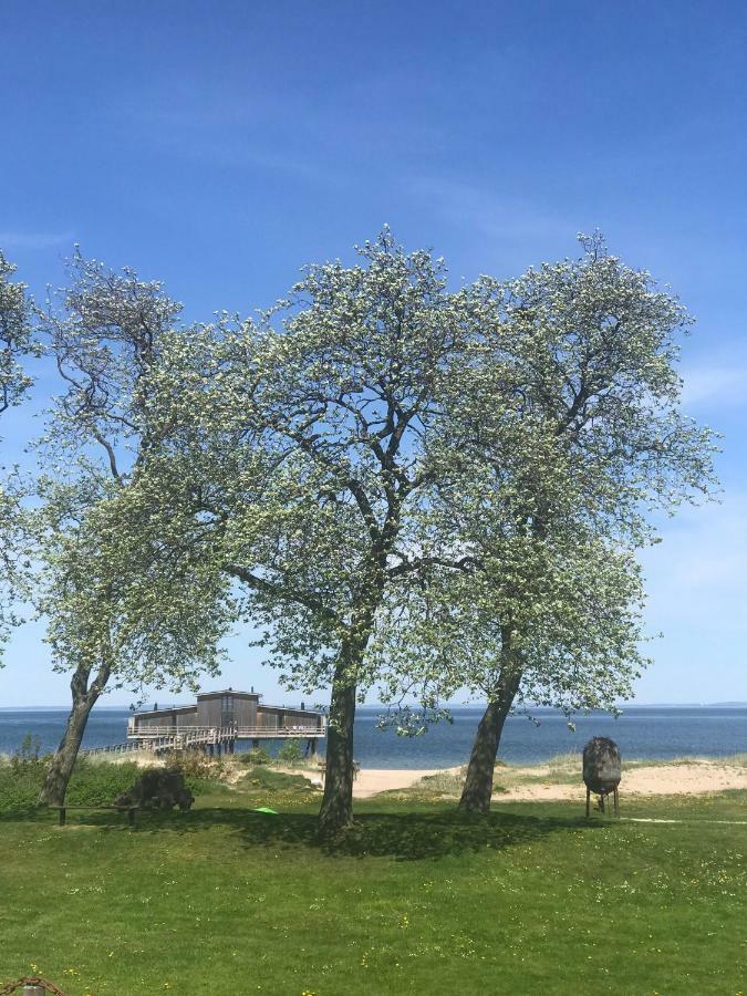 Feriehus Tree Hill - The Old Station House -